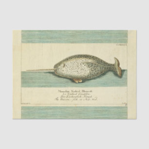 Narwhal Antiek walvis Waterverf Scientific Art Tissuepapier