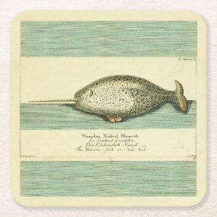 Narwhal Antiek walvis Waterverf Scientific Art Vierkante Kartonnen Onderzetter