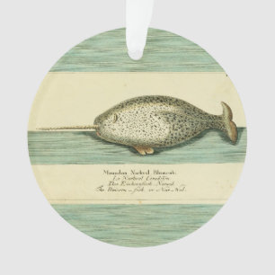 Narwhal Antique Baleine Aquarelle Art scientifique