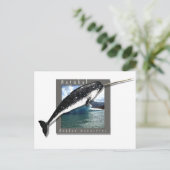 Narwhal Briefkaart (Staand voorkant)