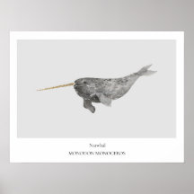 Narwhal Natuurhistorisch Poster