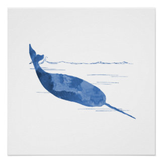 Narwhal Perfect Poster