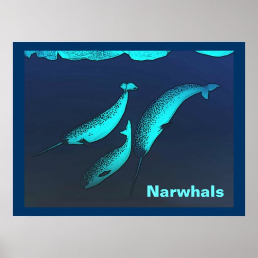 Narwhal Poster (Voorkant)