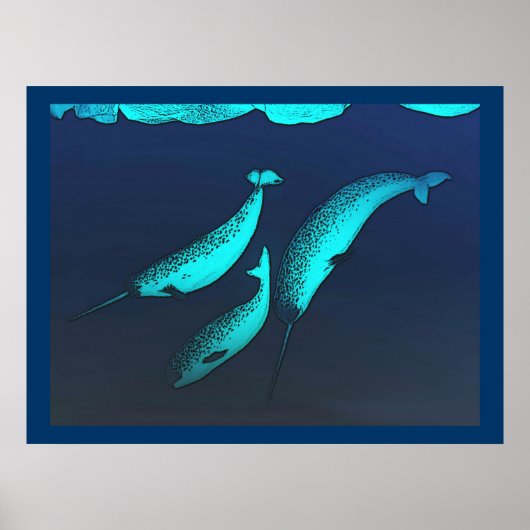 Narwhal Poster (Voorkant)