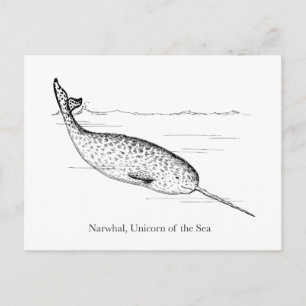 Narwhal Whale Unicorn van het Zee Briefkaart