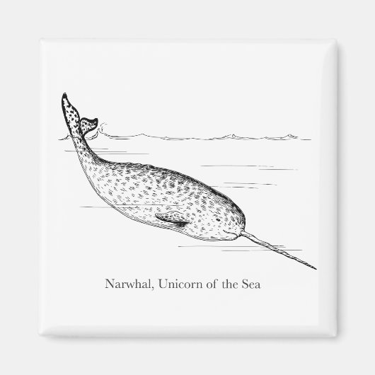 Narwhal Whale Unicorn van het Zee Magneet (Voorkant)