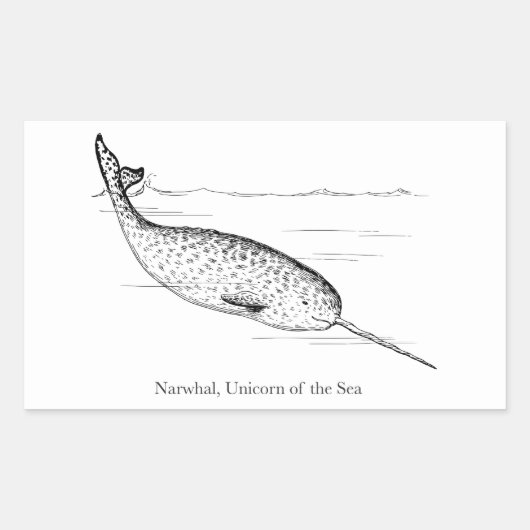 Narwhal Whale Unicorn van het Zee Rechthoekige Sticker (Voorkant)