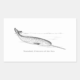 Narwhal Whale Unicorn van het Zee Rechthoekige Sticker
