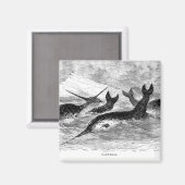 Narwhals Magnet Magneet (Voorkant / Achterkant)