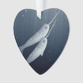 Narwhals mignon nageant ensemble sous l'eau (devant)
