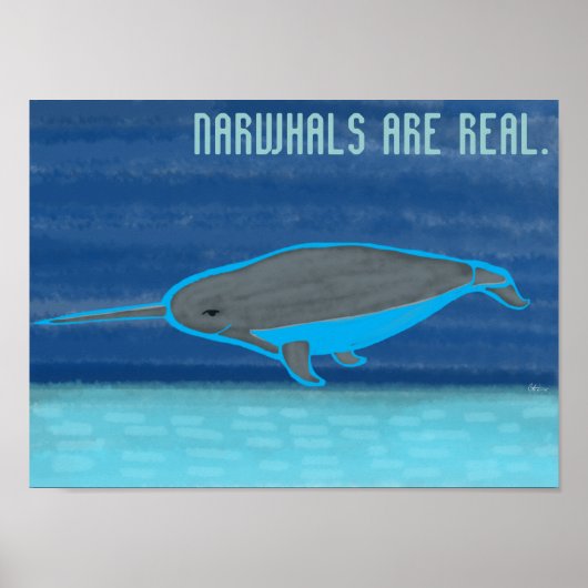 Narwhals zijn echt poster (Voorkant)