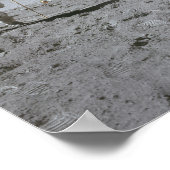 Nasa Moon Landing Apollo 15 Lunar Module 1971 Poster (Hoek)