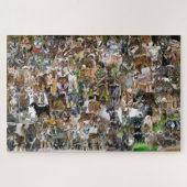 NASC 2022 Puzzle (Horizontal)