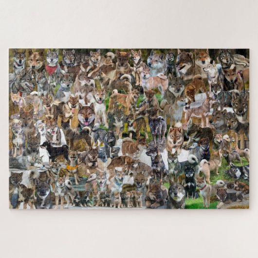 NASC 2022 Puzzle (Horizontal)