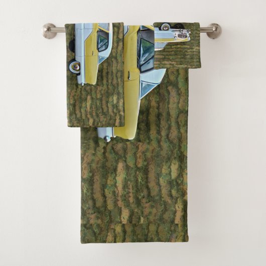 Nash Metropolitan (En situation)