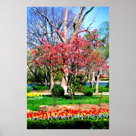 Nashville Spring Poster (Voorkant)