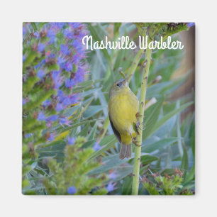 Nashville Warbler Magneet