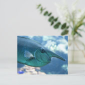 Naso brevirostris briefkaart (Staand voorkant)