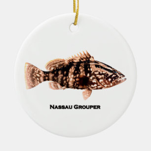 Nassau-groep Keramisch Ornament
