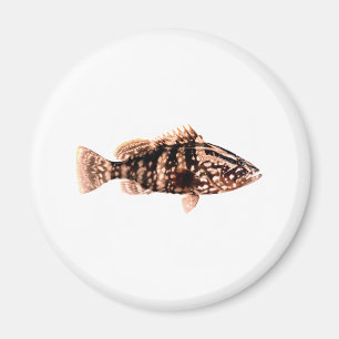 Nassau Grouper Magneet
