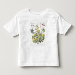 Nasturtia en Daisies: 1.Nasturtium-indicator; 2.B. Kinder Shirts