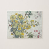 Nasturtia en Daisies: 1.Nasturtium-indicator; 2.B. Legpuzzel (Horizontaal)