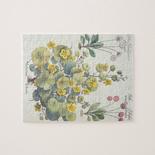 Nasturtia en Daisies: 1.Nasturtium-indicator; 2.B. Legpuzzel (Horizontaal)