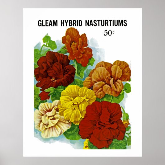 Nasturticum Poster (Voorkant)