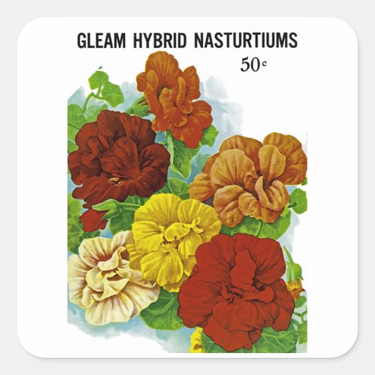 Nasturticum Vierkante Sticker (Voorkant)