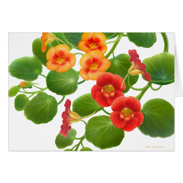 Nasturtium Garden-wijnkaart (Voorkant Horizontaal)