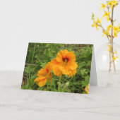 Nasturtium Kaart (Gele Bloem)