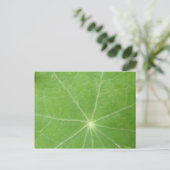 Nasturtium Leaf Briefkaart (Staand voorkant)