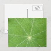 Nasturtium Leaf Briefkaart (Voorkant / Achterkant)