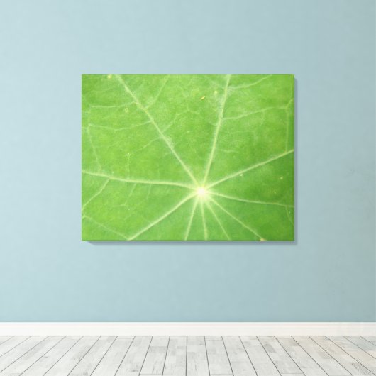 Nasturtium Leaf Canvas Afdrukken (Insitu (Houten vloer))