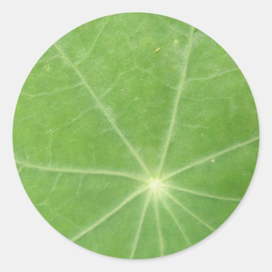 Nasturtium Leaf Stickers (Voorkant)