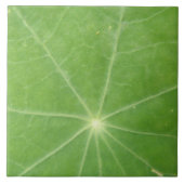 Nasturtium Leaf Tile Tegeltje (Voorkant)