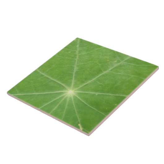 Nasturtium Leaf Tile Tegeltje (Zijkant)