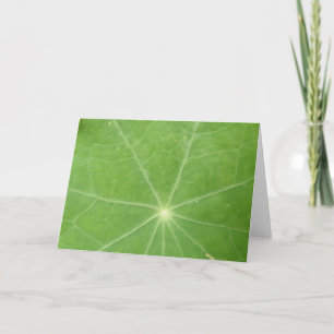 Nasturtium Leaf Wenskaart Kaart