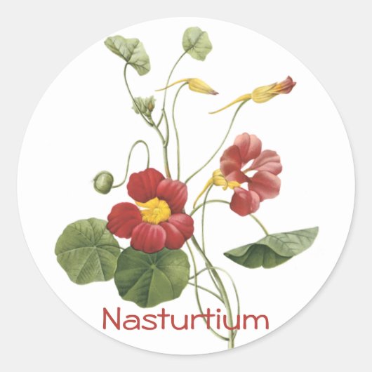 Nasturtium Ronde Sticker (Voorkant)