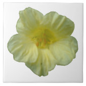 Nasturtium Tile Tegeltje (Voorkant)