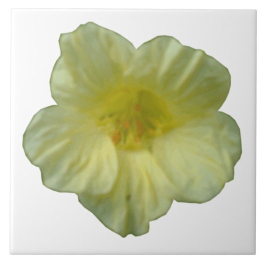  Nasturtium Tile Tegeltje (Voorkant)