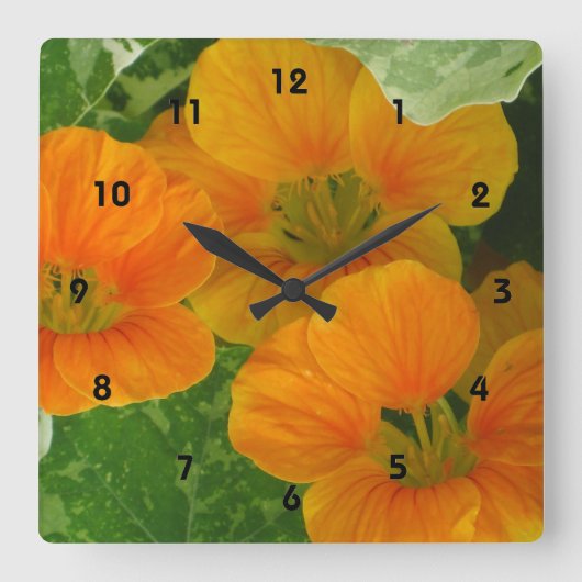 Nasturtium Wall klok (Voorkant)