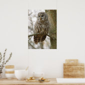 Nat Feathers Barred Owl Alert Zoekend Prey Poster (Keuken)