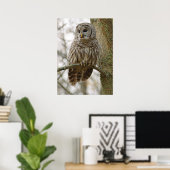 Nat Feathers Barred Owl Alert Zoekend Prey Poster (Thuiskantoor)