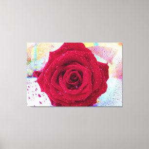 NAT ROOS 32x48 Canvas Afdruk