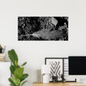 nat veer poster (Thuiskantoor)