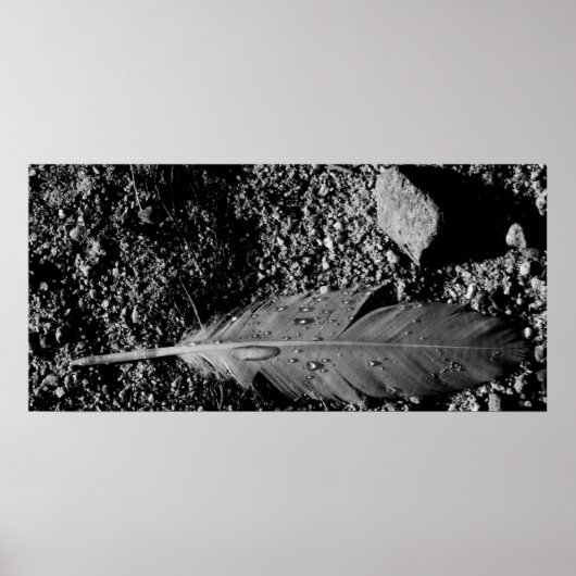 nat veer poster (Voorkant)