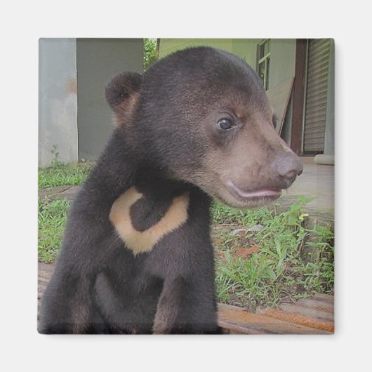 NATALIE Magnet (Devant)