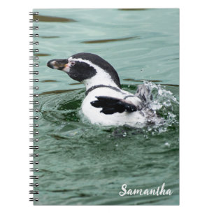 Natation carnet spiral de pingouin Humboldt