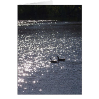 Natation dans la lumière